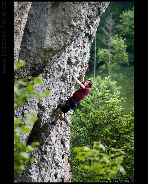 Vilda - Bauernschmitt Wand, Macker 8