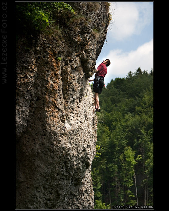 Vilda - Bauernschmitt Wand, Macker 8